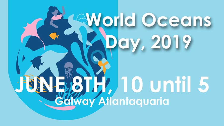 Światowy Dzień Oceanów w Atlantaquarium